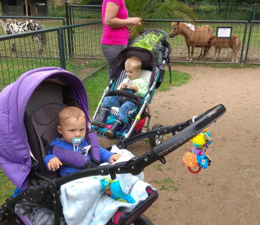 Dvoreček 12.6.2018 - Častolovice