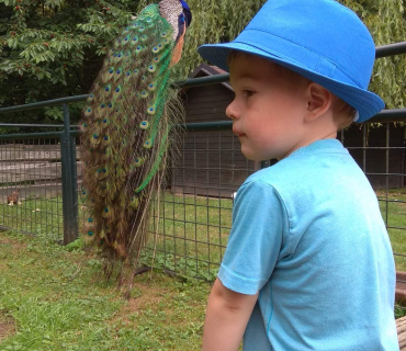 Dvoreček 12.6.2018 - Častolovice