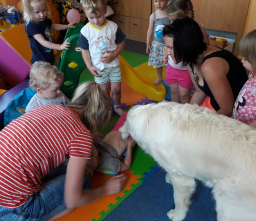 Dvoreček 29.5. - hafani