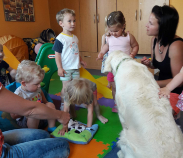 Dvoreček 29.5. - hafani