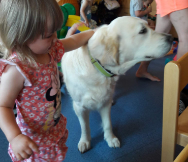 Dvoreček 29.5. - hafani