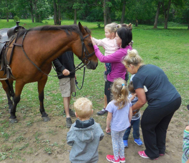 Dvoreček - koníci Deštné 5.6.2018