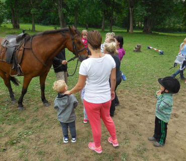 Dvoreček - koníci Deštné 5.6.2018