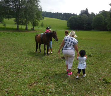 Dvoreček - koníci Deštné 5.6.2018