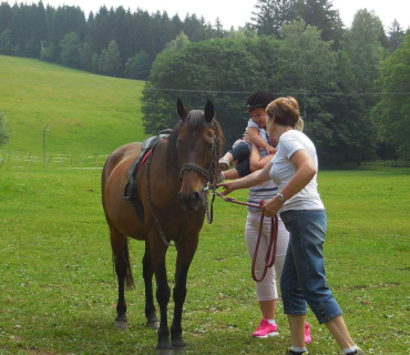 Dvoreček - koníci Deštné 5.6.2018