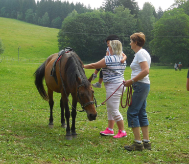 Dvoreček - koníci Deštné 5.6.2018
