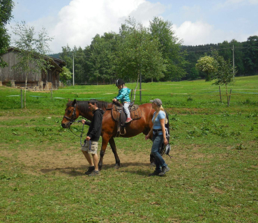 Dvoreček - koníci Deštné 5.6.2018