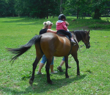 Dvoreček - koníci Deštné 5.6.2018