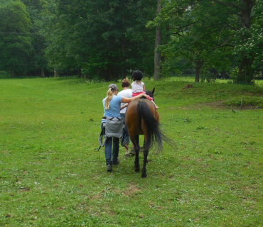 Dvoreček - koníci Deštné 5.6.2018