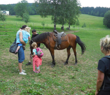 Dvoreček - koníci Deštné 5.6.2018
