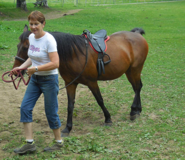 Dvoreček - koníci Deštné 5.6.2018