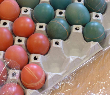 Dvoreček 27.3. barvení vajíček