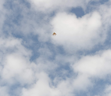 Drakiáda 22.10.2017