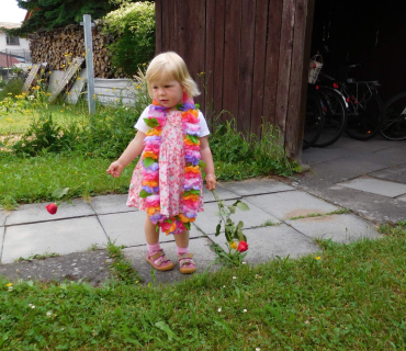 Dvoreček 27.6.2017 - závěrečný