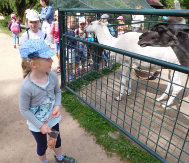 Dvoreček 13.6.2017 - Častolovice