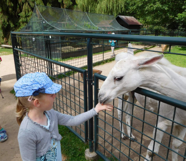 Dvoreček 13.6.2017 - Častolovice