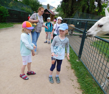 Dvoreček 13.6.2017 - Častolovice