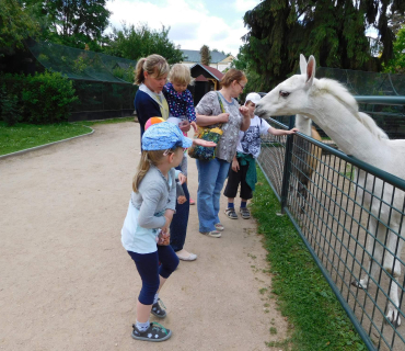 Dvoreček 13.6.2017 - Častolovice