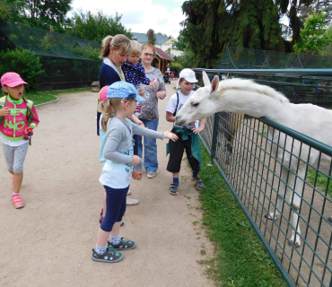 Dvoreček 13.6.2017 - Častolovice
