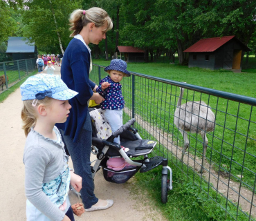 Dvoreček 13.6.2017 - Častolovice