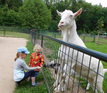 Dvoreček 13.6.2017 - Častolovice