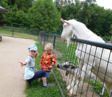 Dvoreček 13.6.2017 - Častolovice