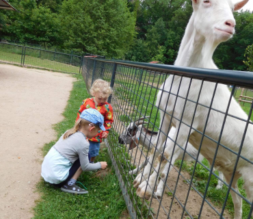 Dvoreček 13.6.2017 - Častolovice