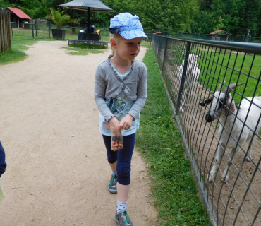 Dvoreček 13.6.2017 - Častolovice