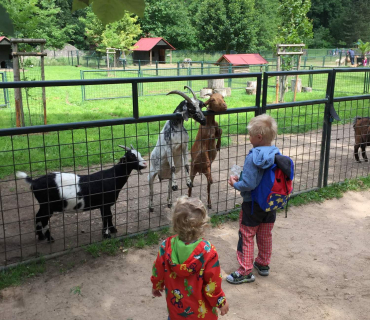 Dvoreček 13.6.2017 - Častolovice