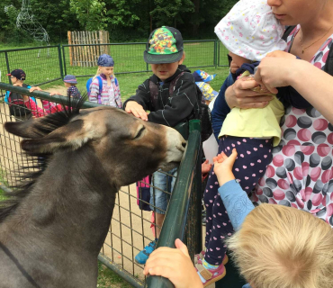 Dvoreček 13.6.2017 - Častolovice