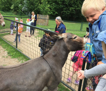 Dvoreček 13.6.2017 - Častolovice