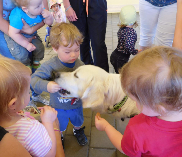Dvoreček 6.6. 2017 - Návštěva canisterapeutického pejska