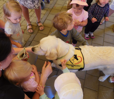 Dvoreček 6.6. 2017 - Návštěva canisterapeutického pejska