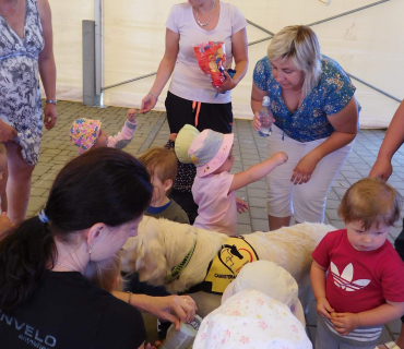 Dvoreček 6.6. 2017 - Návštěva canisterapeutického pejska