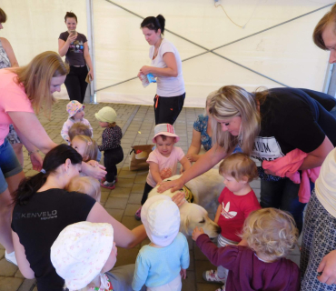 Dvoreček 6.6. 2017 - Návštěva canisterapeutického pejska