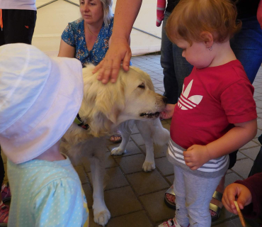 Dvoreček 6.6. 2017 - Návštěva canisterapeutického pejska