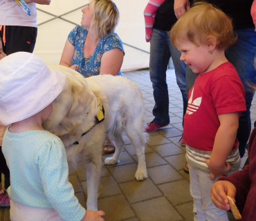 Dvoreček 6.6. 2017 - Návštěva canisterapeutického pejska