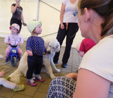 Dvoreček 6.6. 2017 - Návštěva canisterapeutického pejska