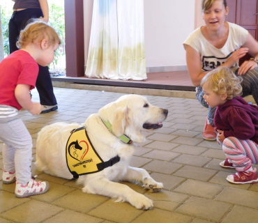 Dvoreček 6.6. 2017 - Návštěva canisterapeutického pejska