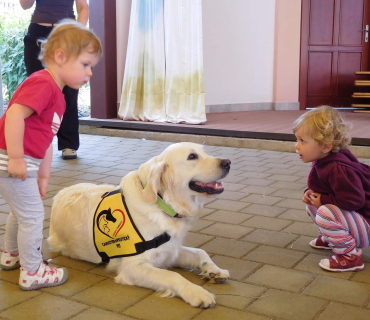 Dvoreček 6.6. 2017 - Návštěva canisterapeutického pejska