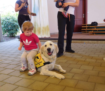 Dvoreček 6.6. 2017 - Návštěva canisterapeutického pejska