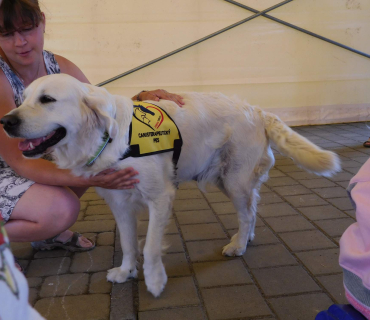 Dvoreček 6.6. 2017 - Návštěva canisterapeutického pejska