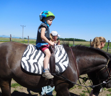 Dvoreček 27.5.2017- Putování za koníky