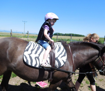 Dvoreček 27.5.2017- Putování za koníky