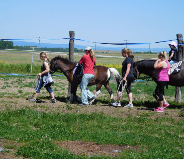 Dvoreček 27.5.2017- Putování za koníky