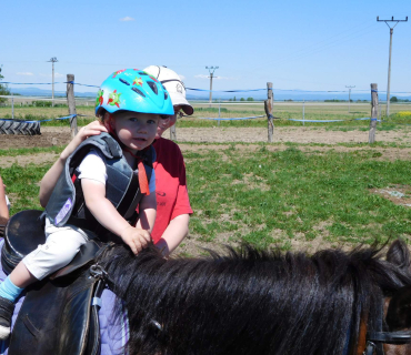 Dvoreček 27.5.2017- Putování za koníky