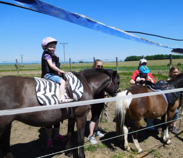 Dvoreček 27.5.2017- Putování za koníky