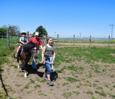 Dvoreček 27.5.2017- Putování za koníky