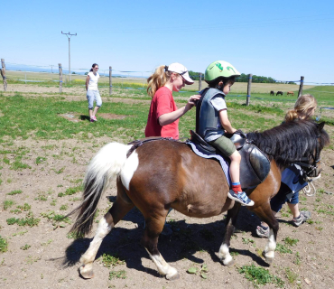 Dvoreček 27.5.2017- Putování za koníky