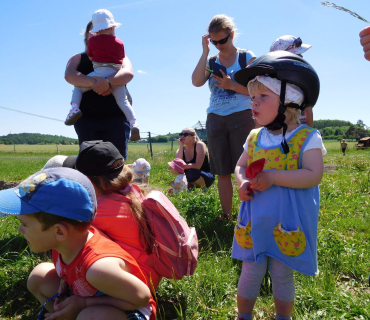 Dvoreček 27.5.2017- Putování za koníky